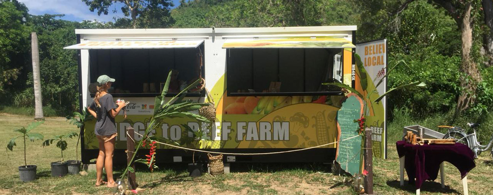 Enclosed farm stand with two open windows in a grassy area.